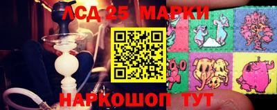 дживик Моздок