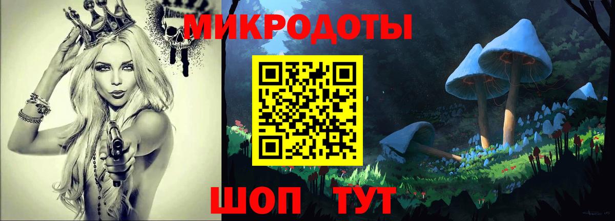 Псилоцибиновые грибы Psilocybe Чусовой